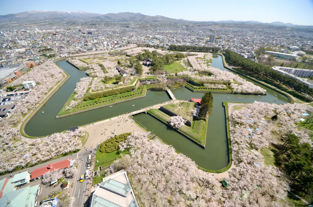 五稜郭公園 夜桜ライトアップ(会場のイメージ)