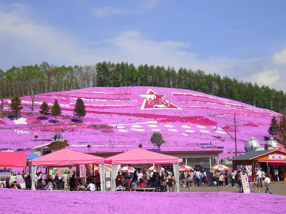ひがしもこと芝桜公園(芝桜まつり)(会場のイメージ)