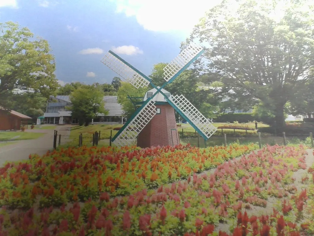 兵庫県立フラワーセンター 食虫植物特別展示(会場のイメージ)