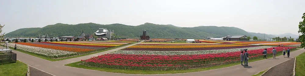 かみゆうべつチューリップ公園(チューリップフェア)(会場のイメージ)