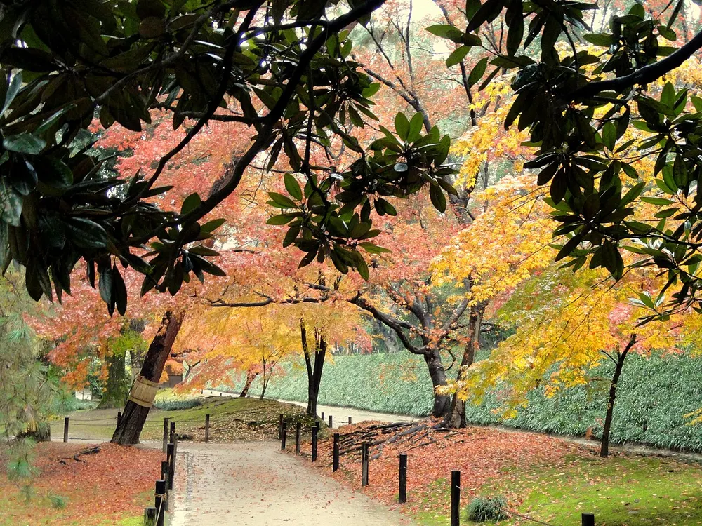 岡山後楽園 秋の幻想庭園(会場のイメージ)