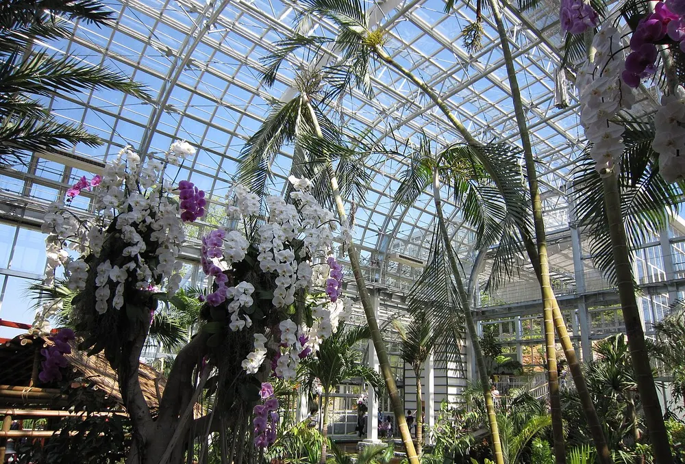 高知県立牧野植物園 食虫植物展(会場のイメージ)