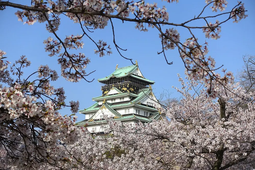 大阪城西の丸庭園 桜(会場のイメージ)
