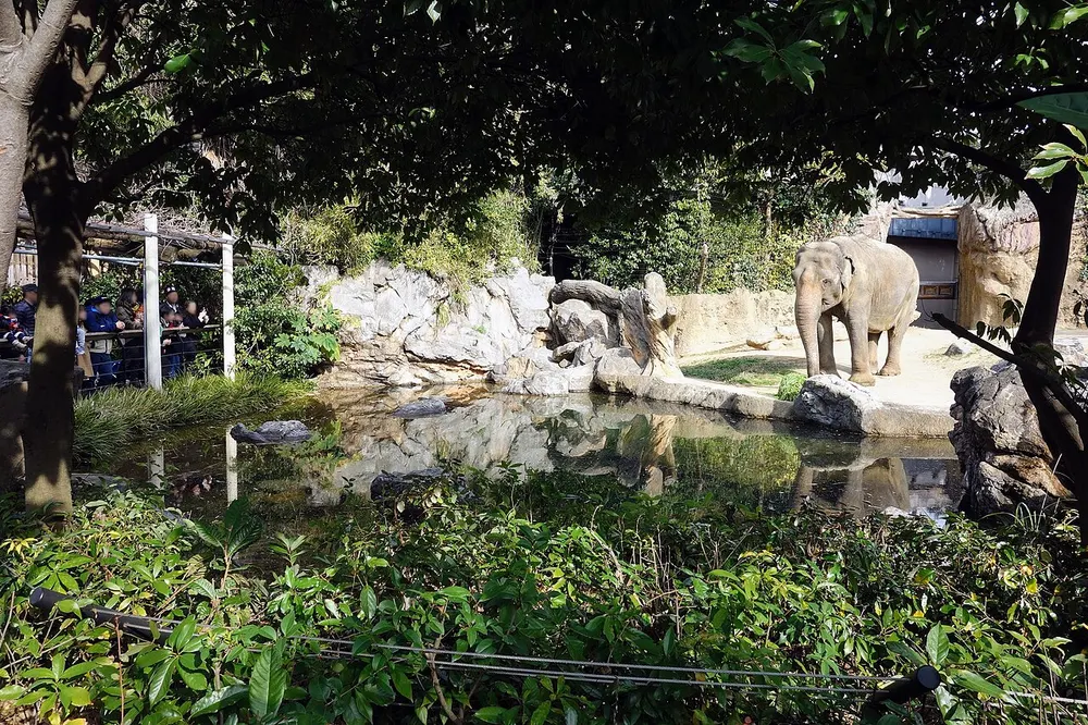 天王寺動物園 ナイトZOO(会場のイメージ)