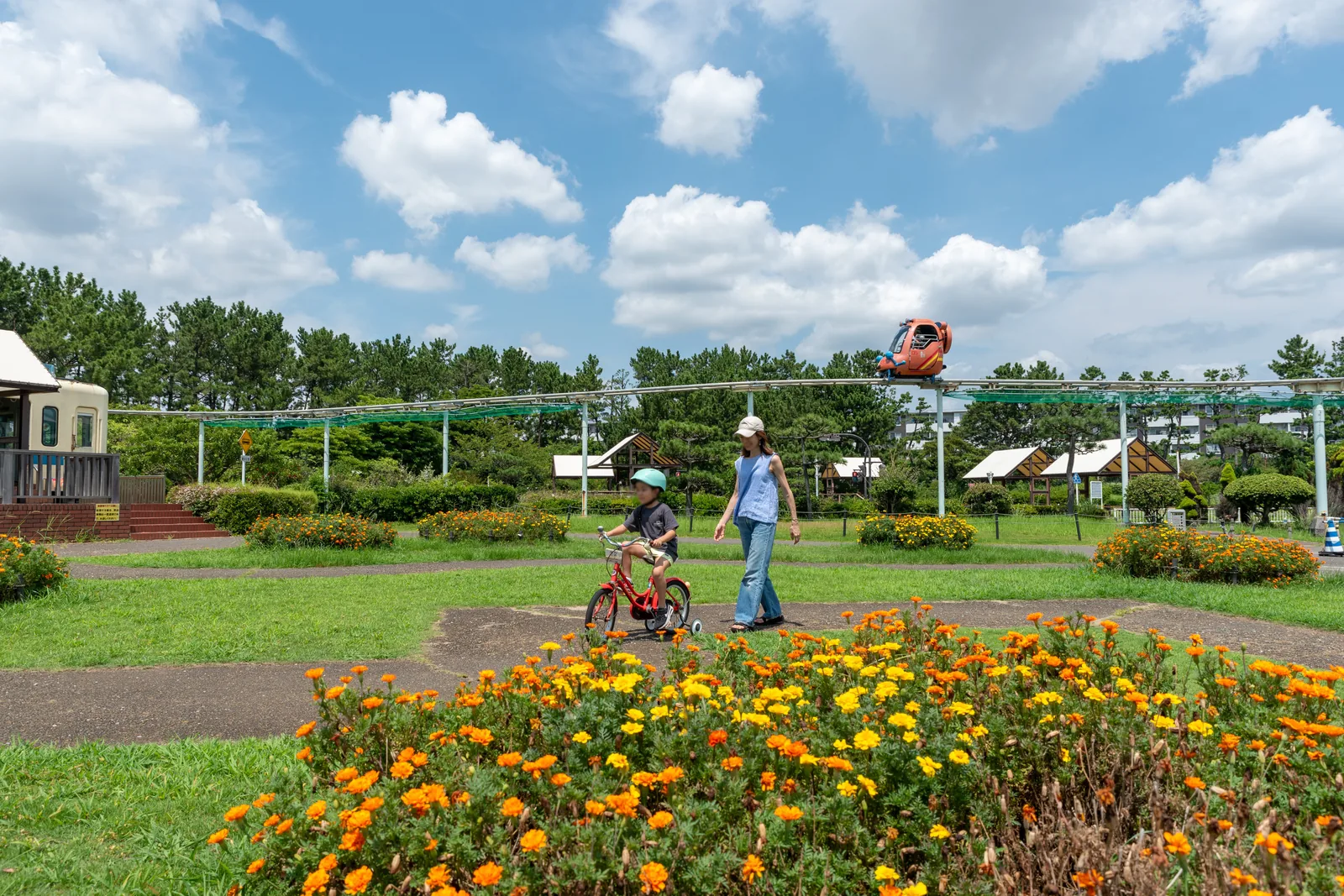 県立辻堂海浜公園の交通公園。自転車に乗る子どもと付き添う大人の顔をモザイク処理した園内風景