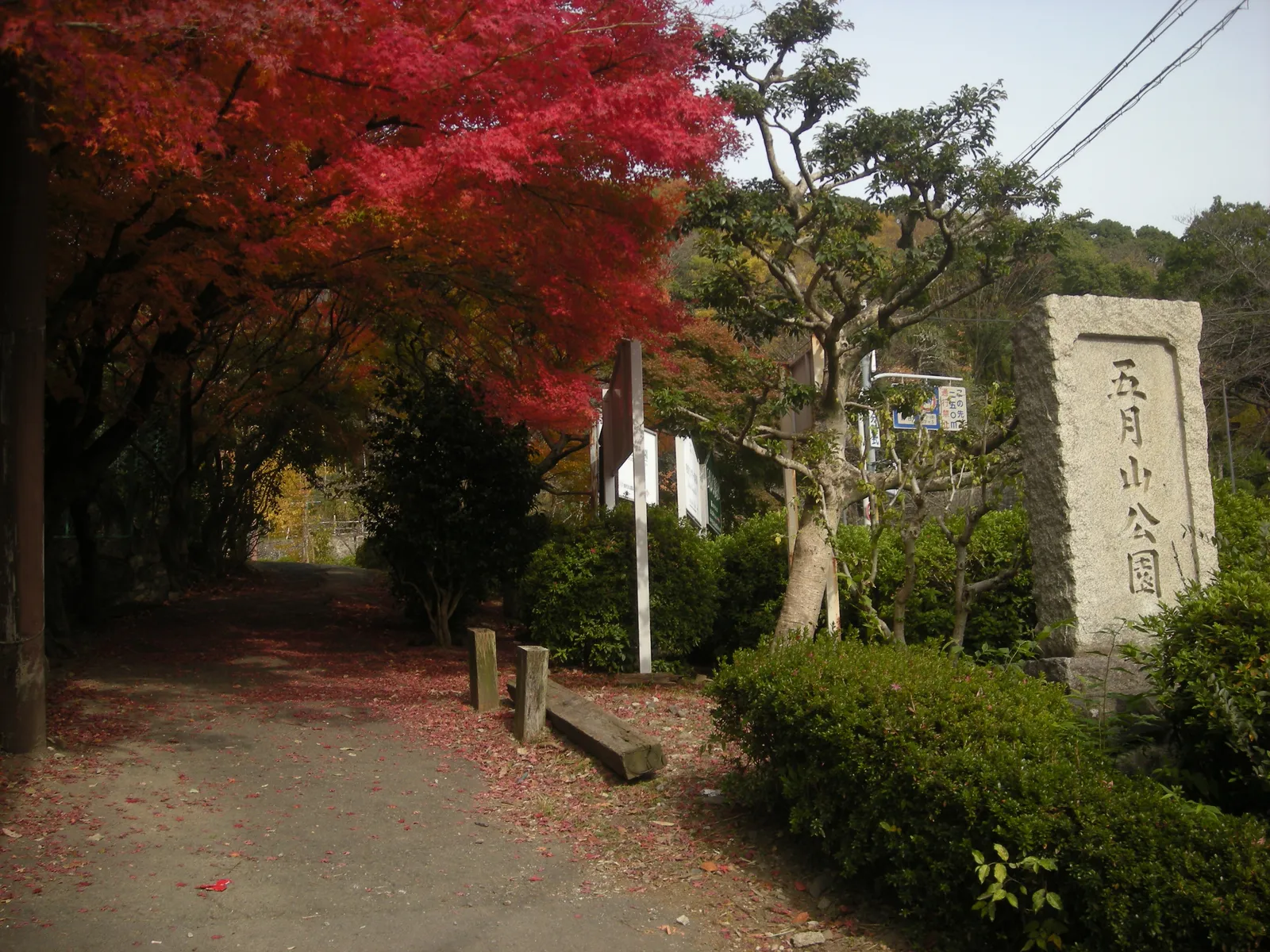 五月山公園(動物園併設)