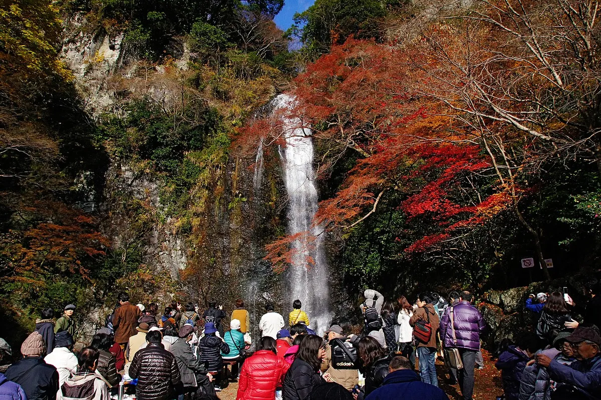 箕面公園(明治の森箕面国定公園)