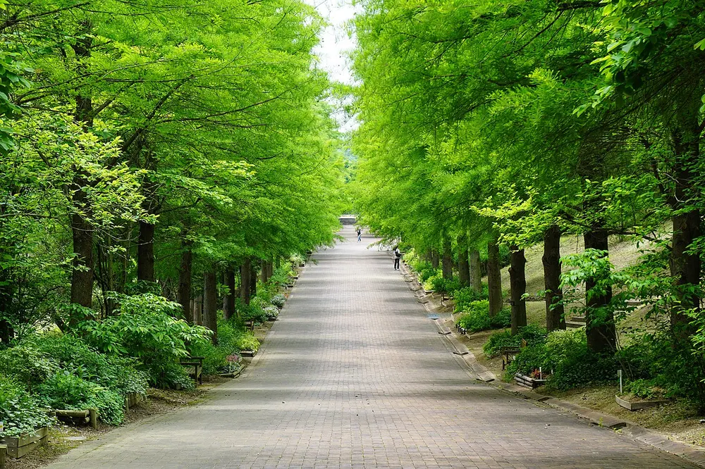 兵庫県立播磨中央公園(はりちゅう)