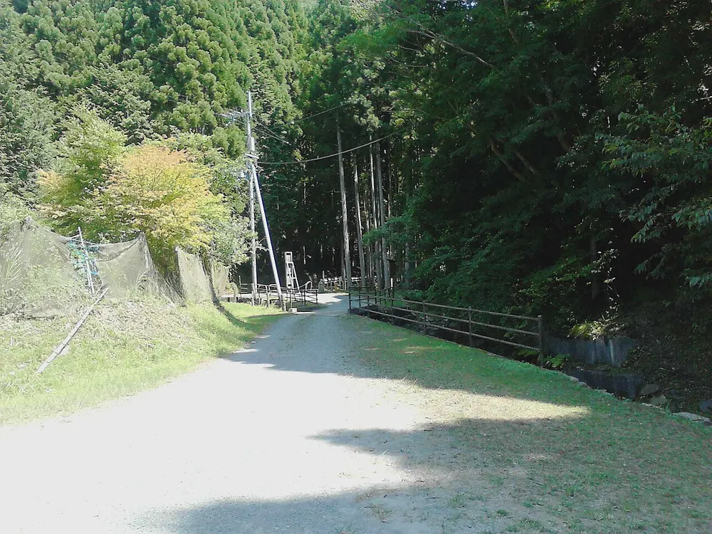 大原野森林公園