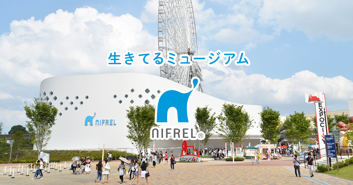 NIFREL(ニフレル)