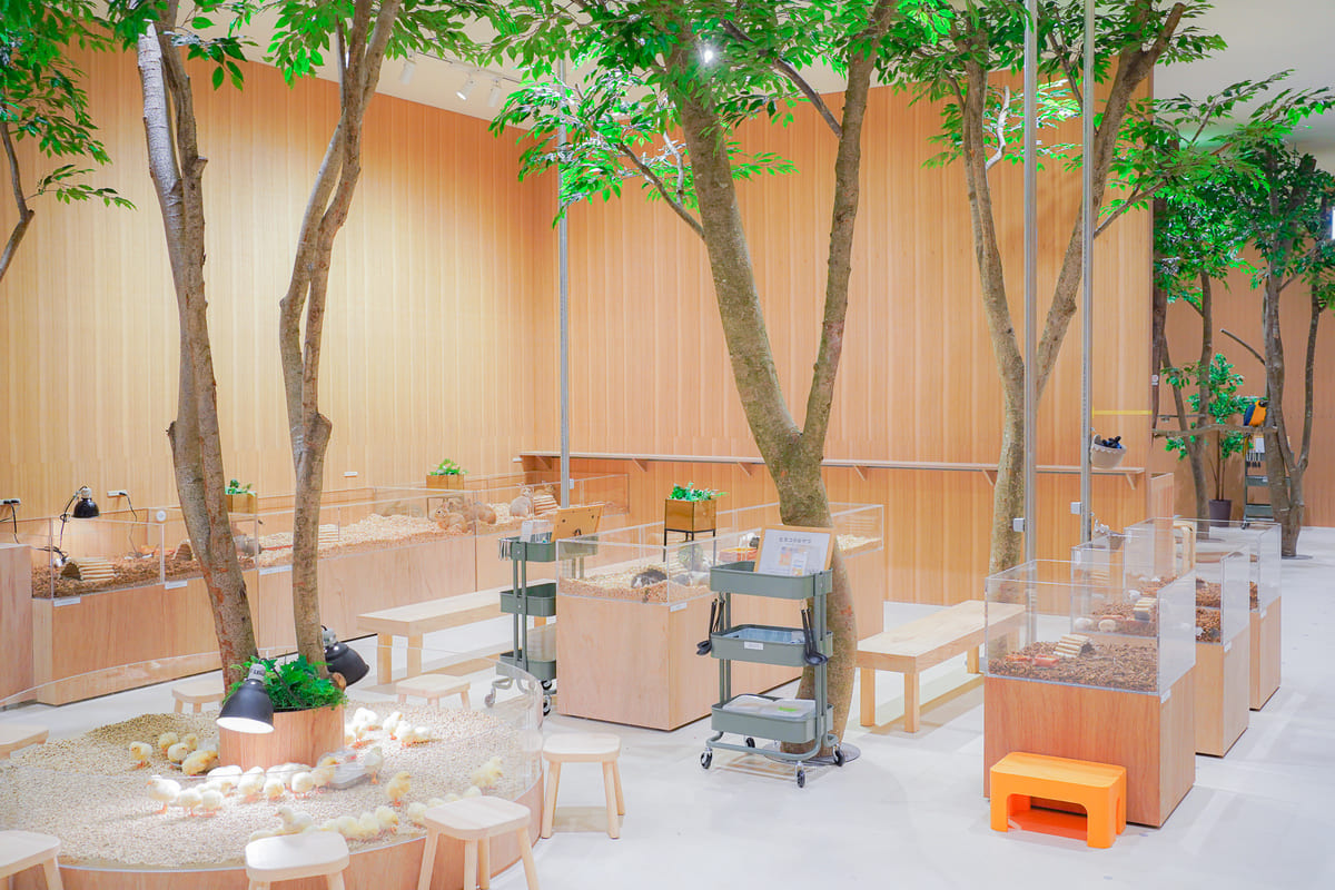 Moff animal cafe ららぽーと堺店