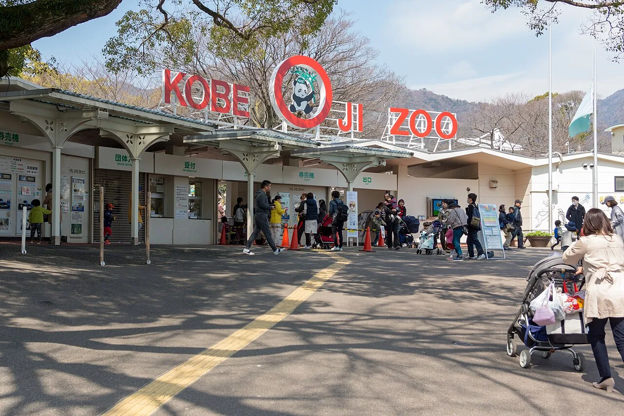神戸市立王子動物園