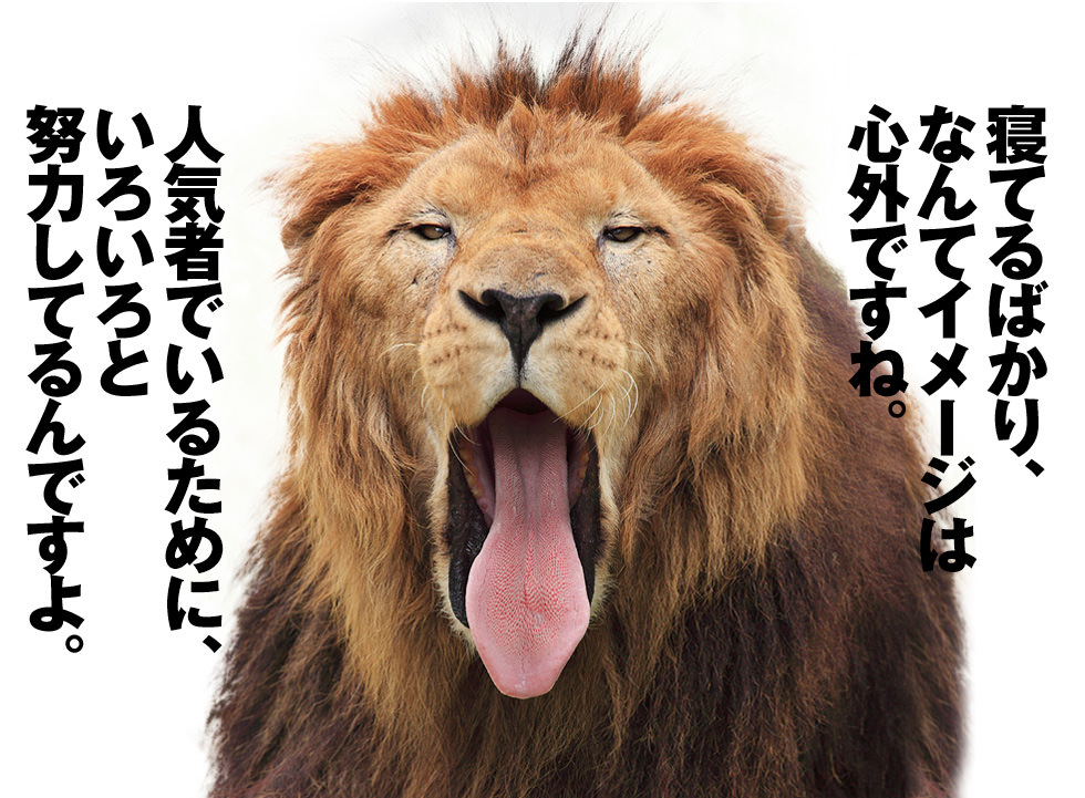 姫路セントラルパーク