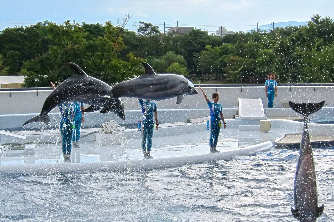 京都水族館