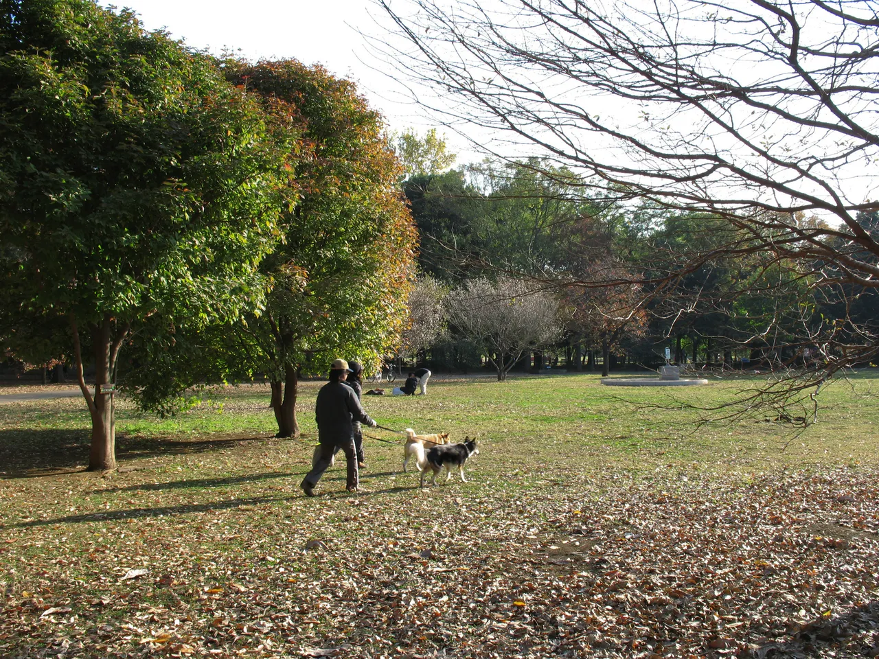 都立砧公園(みんなのひろば)