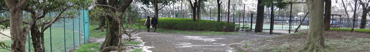 都立 小金井公園