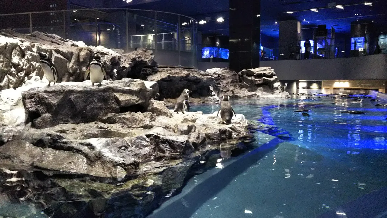 すみだ水族館