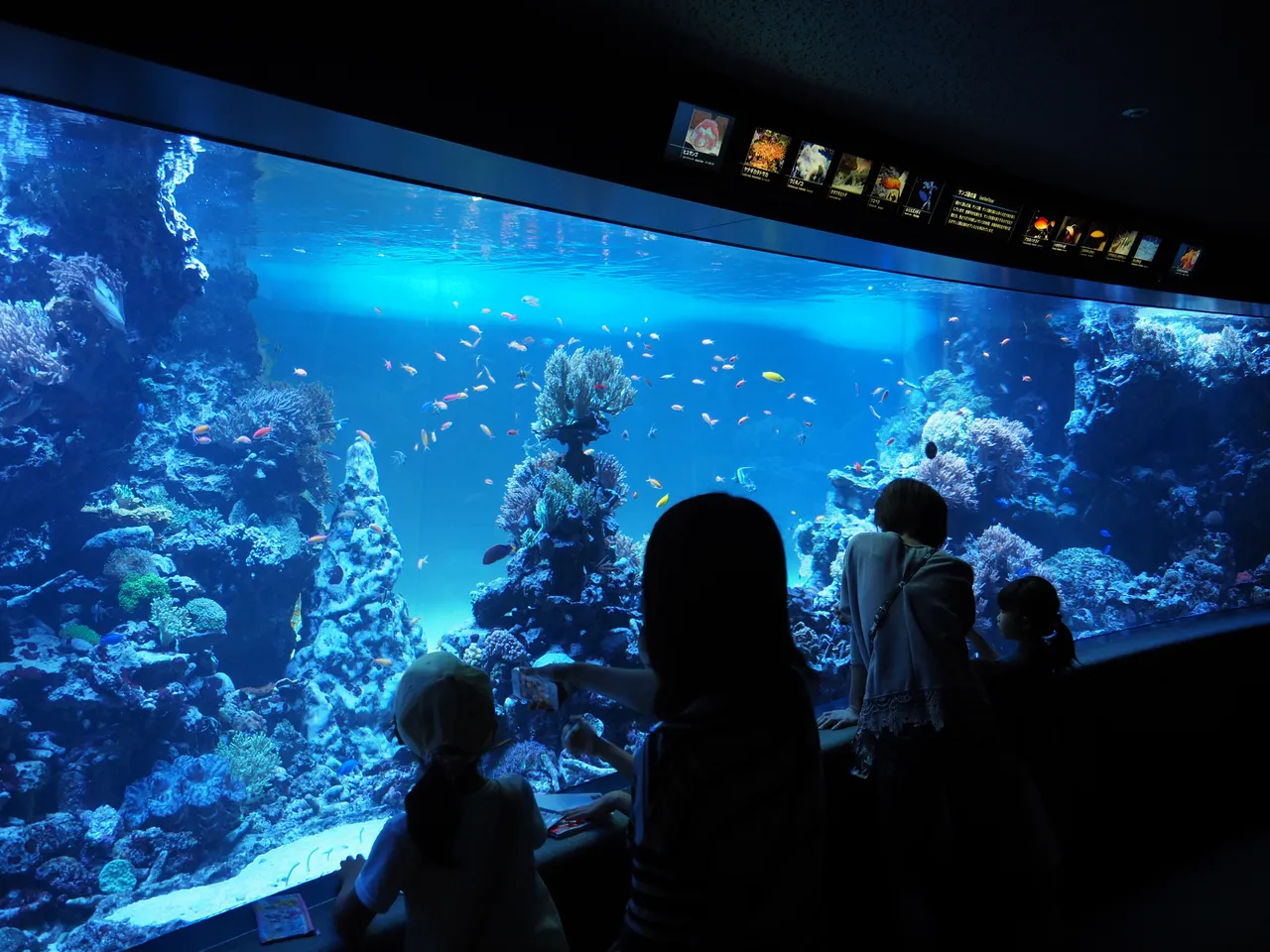 サンシャイン水族館