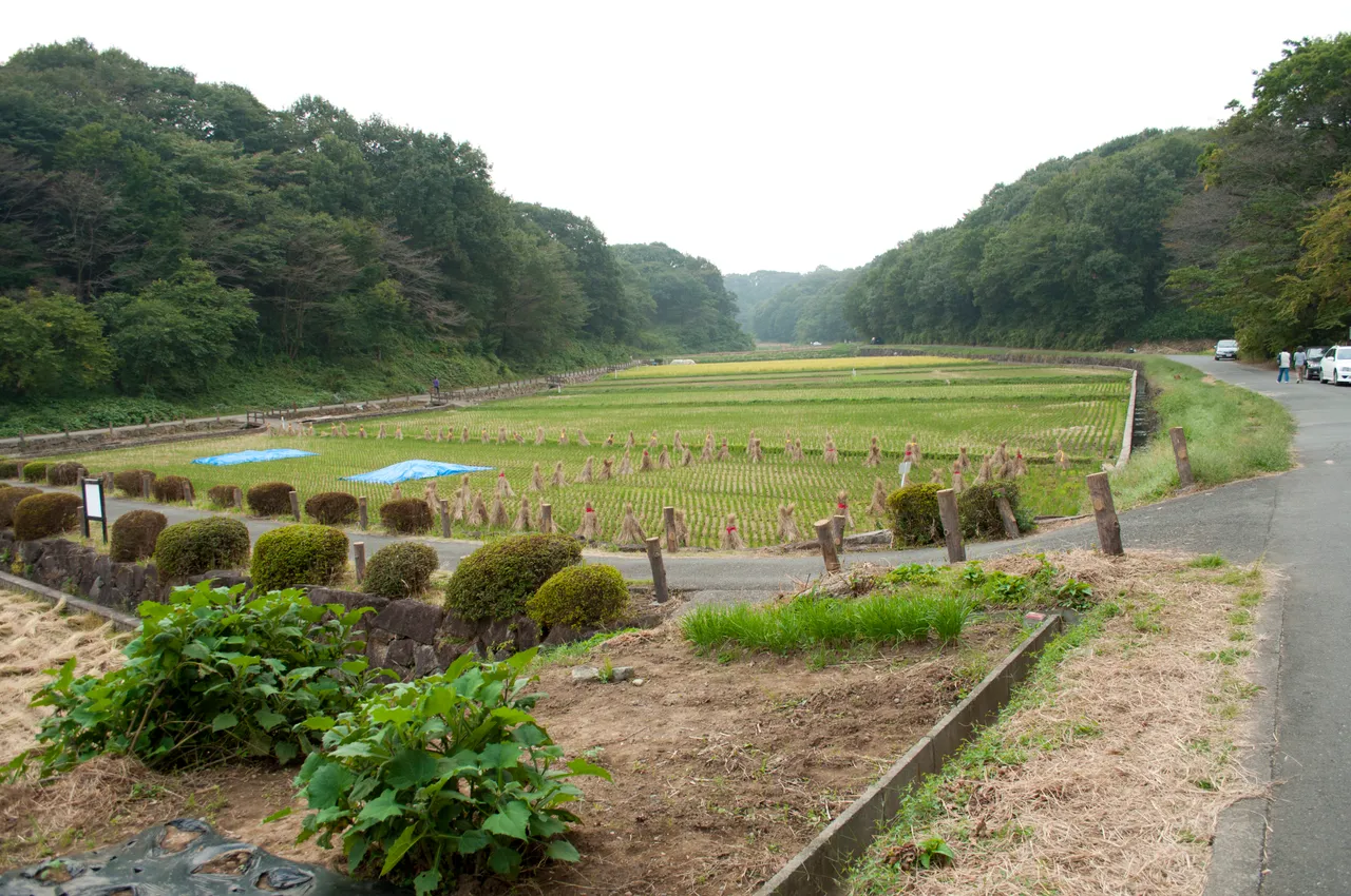 寺家ふるさと村