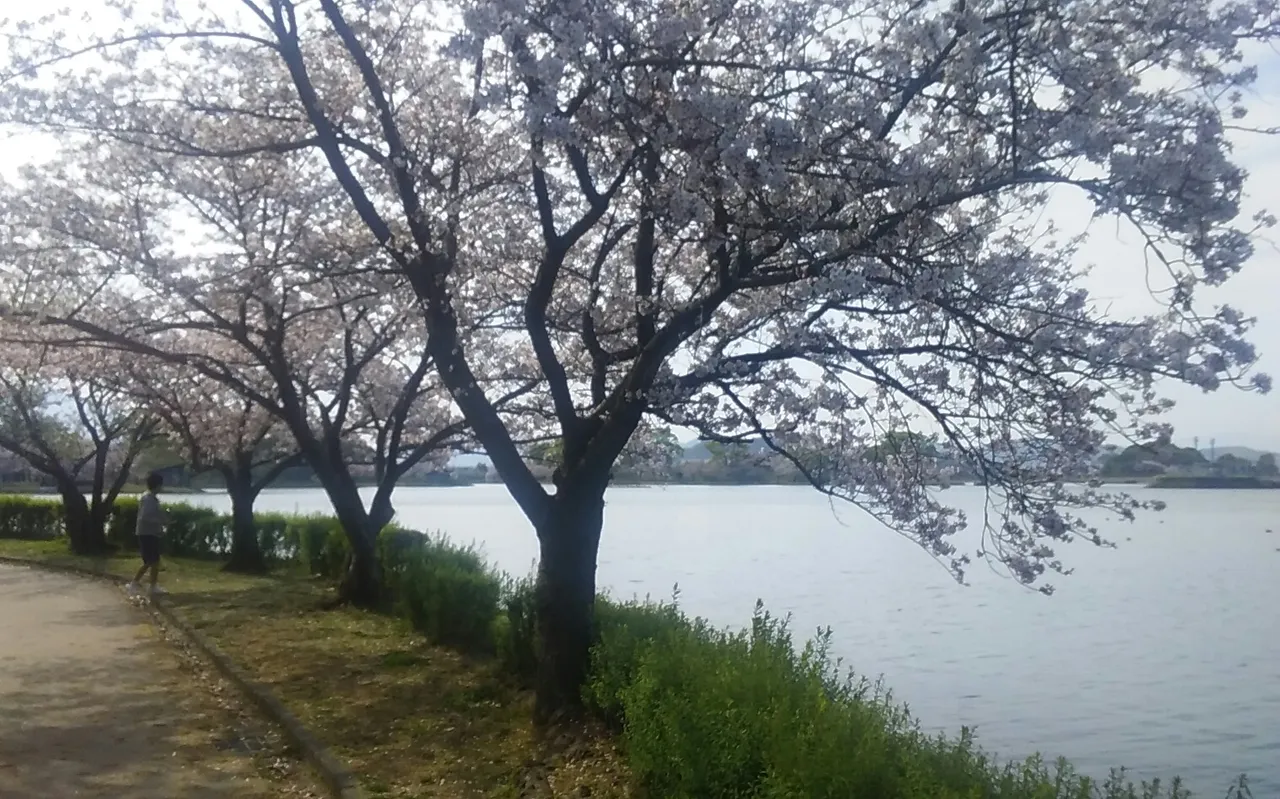 駕与丁公園(かよいちょうこうえん)