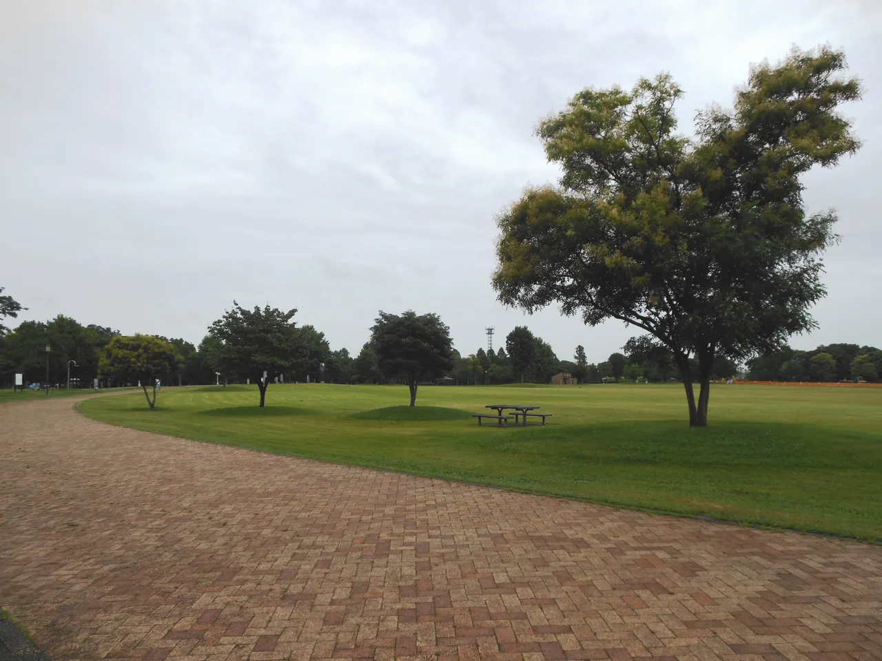佐賀県立森林公園