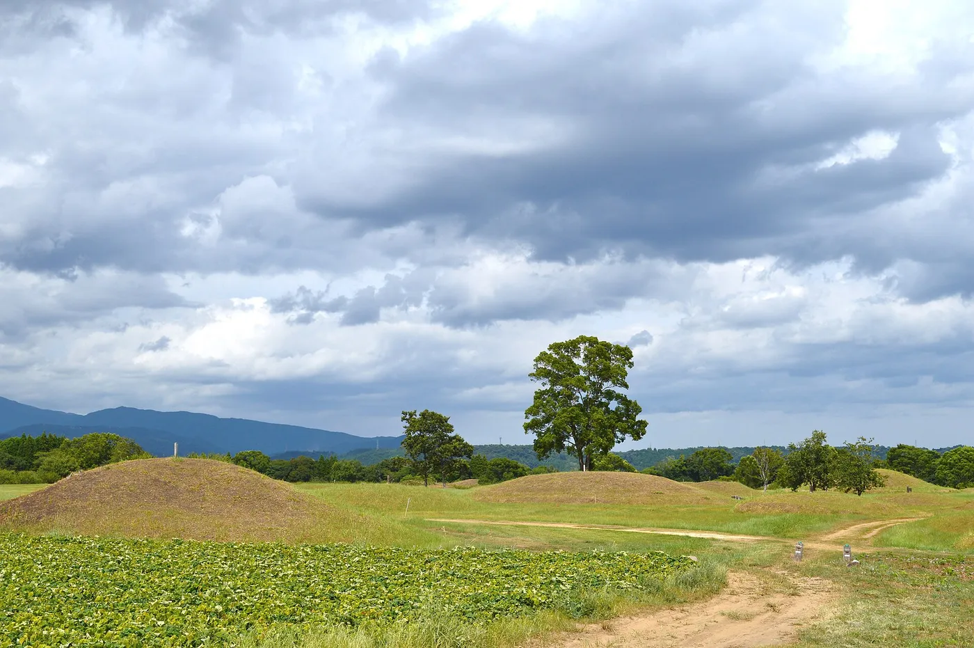 西都原古墳群(西都原ガイダンスセンター このはな館・お花畑)