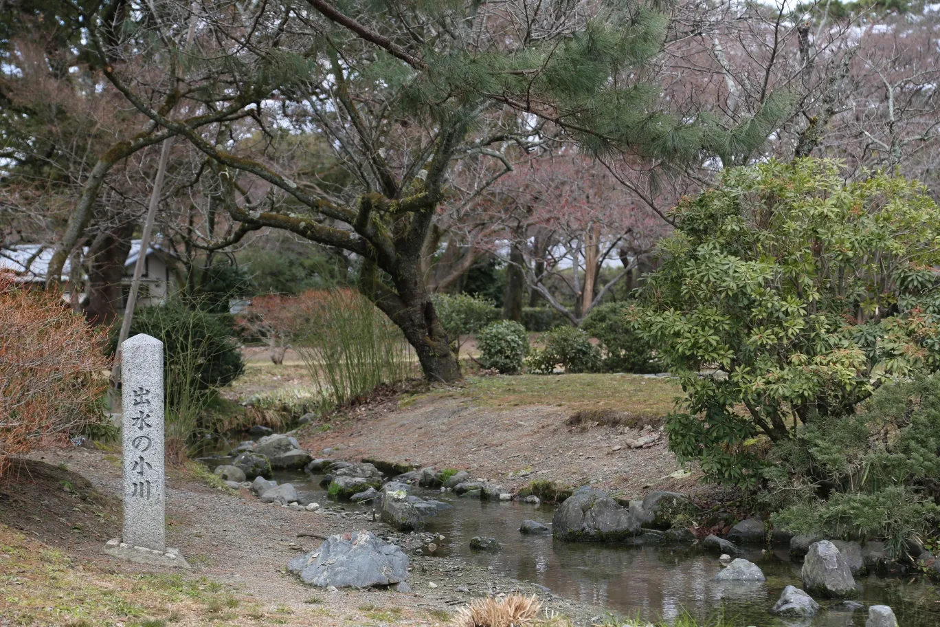 京都御苑 出水の小川