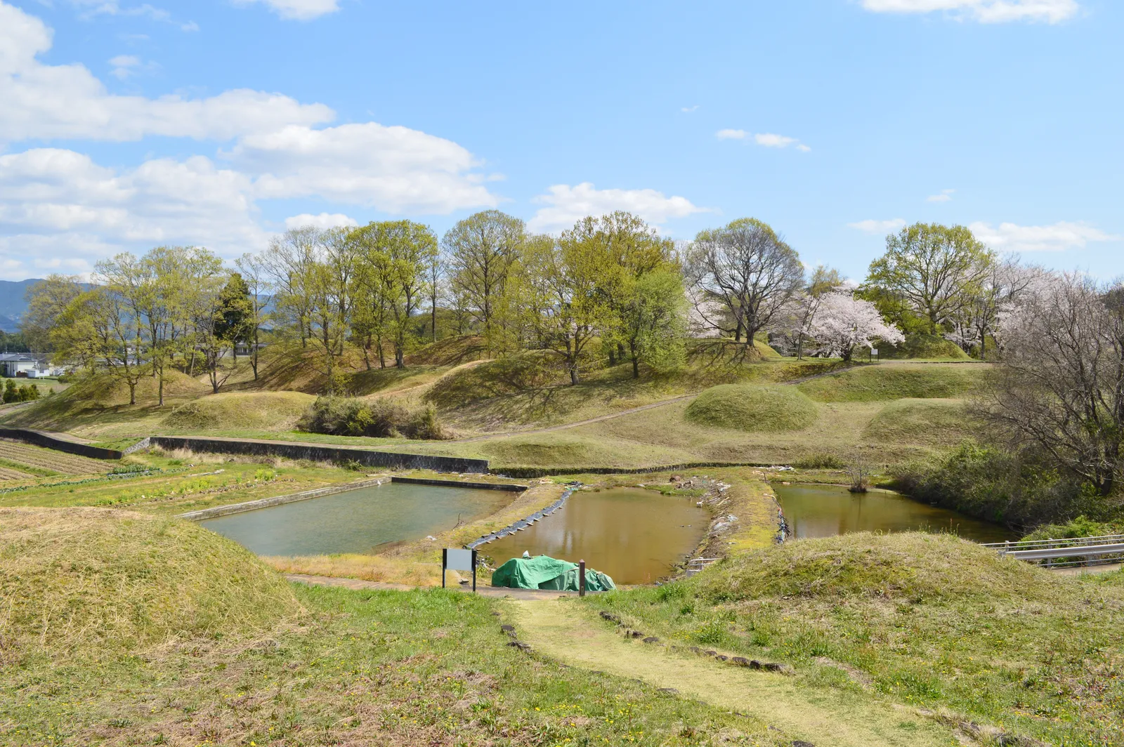 新沢千塚古墳群公園