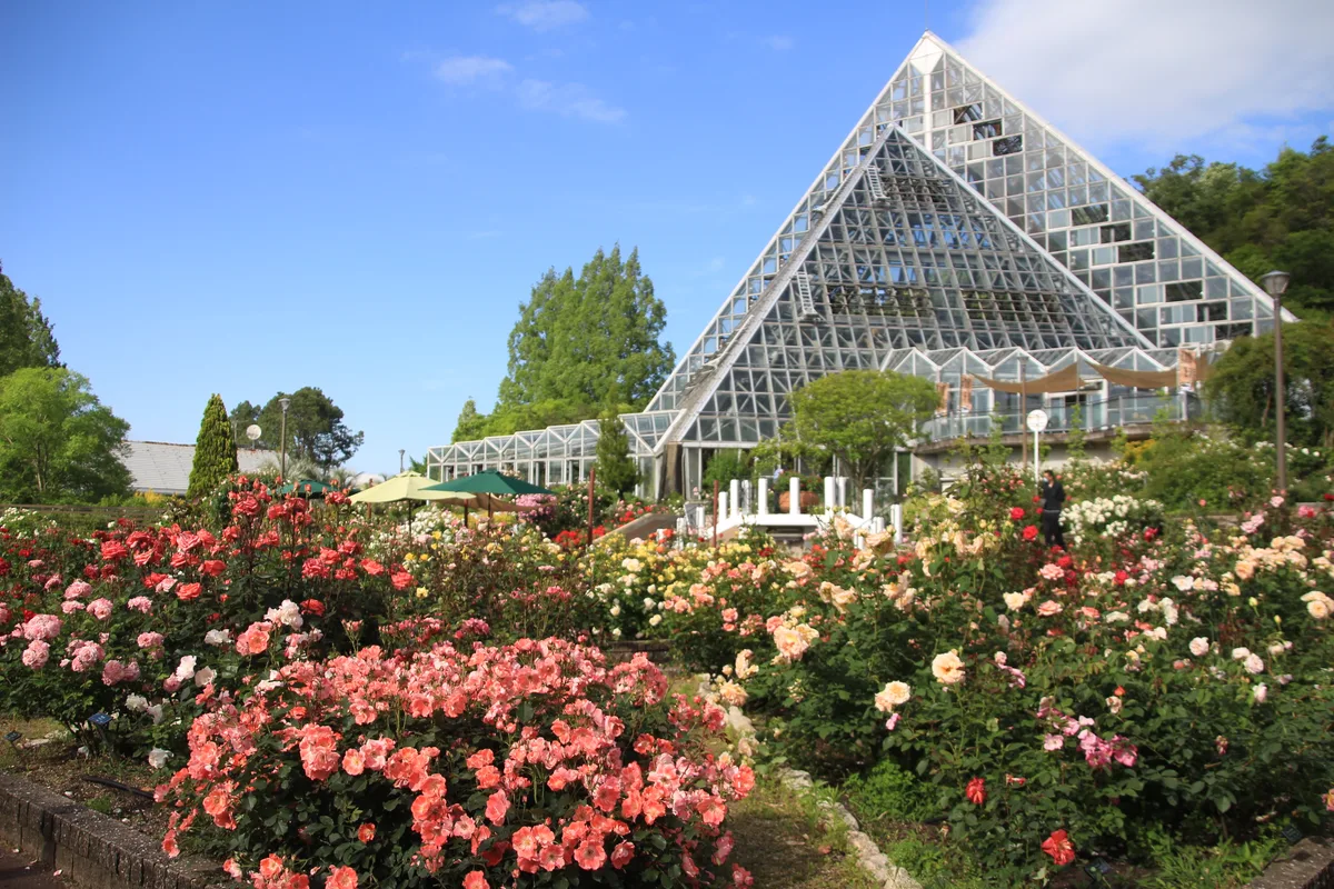 大阪府立 花の文化園