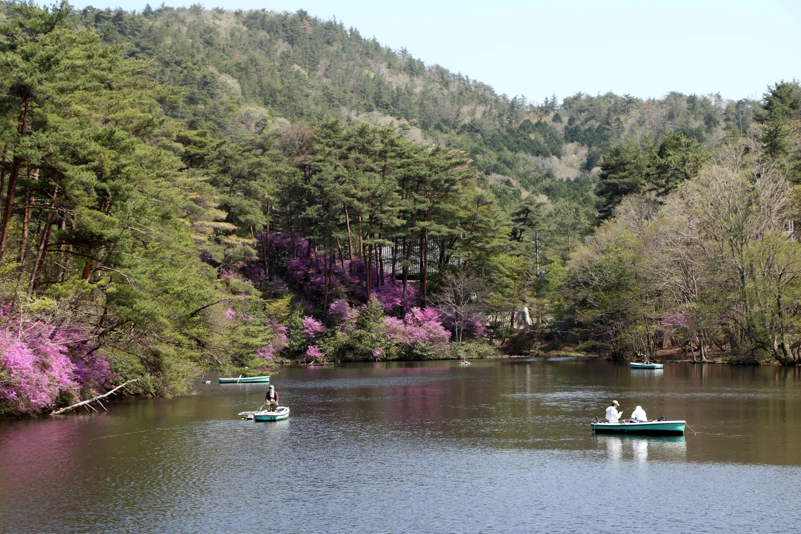 京都府立るり渓自然公園