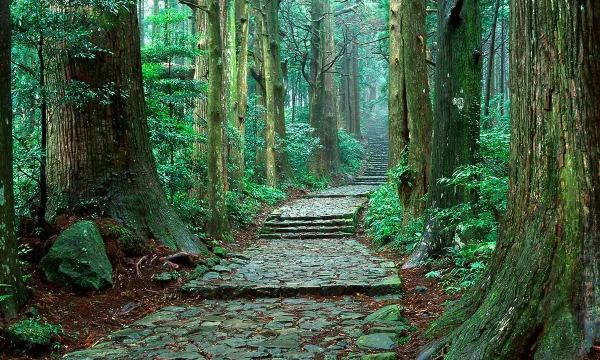 熊野古道 大門坂(子供コース)