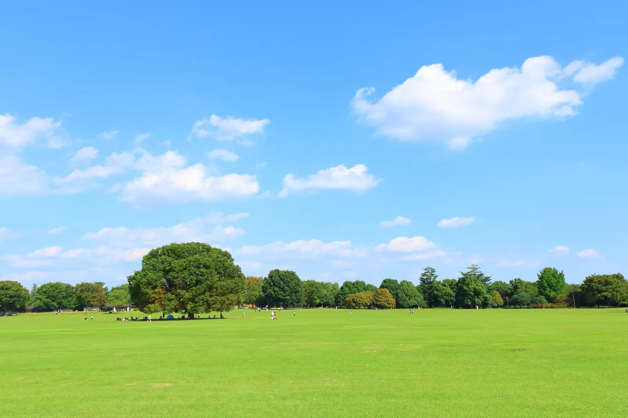 国営昭和記念公園