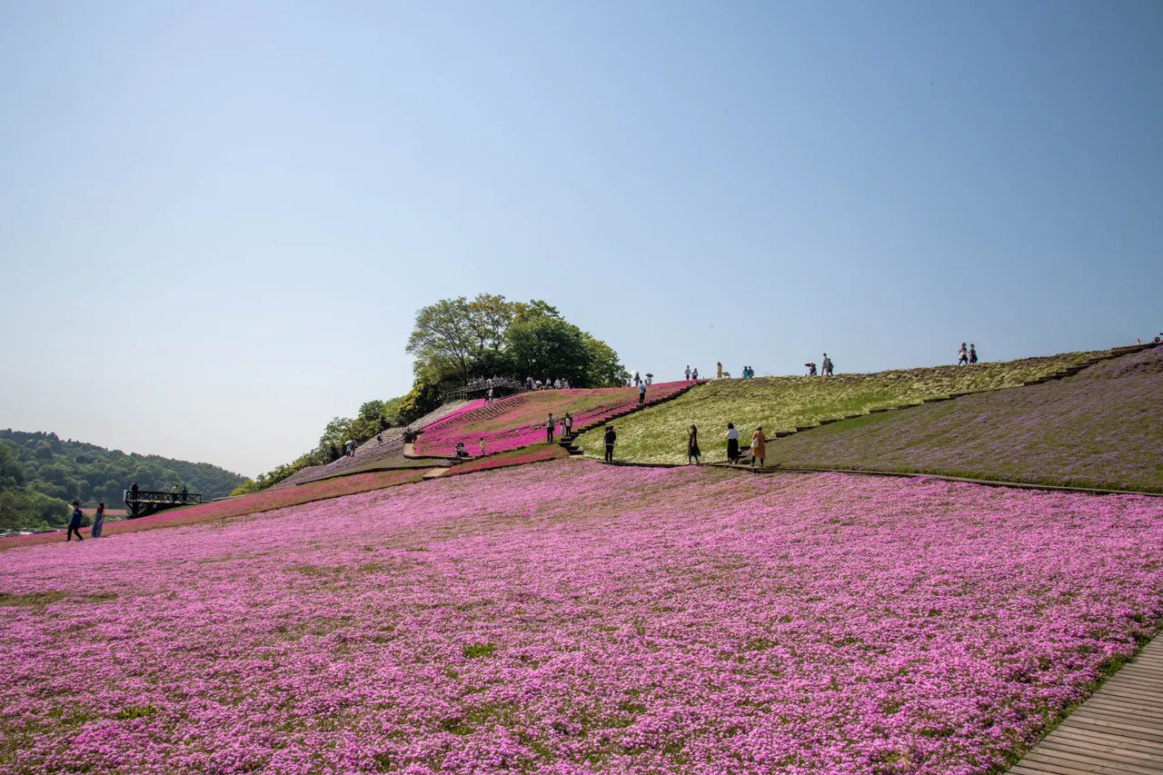 東京ドイツ村