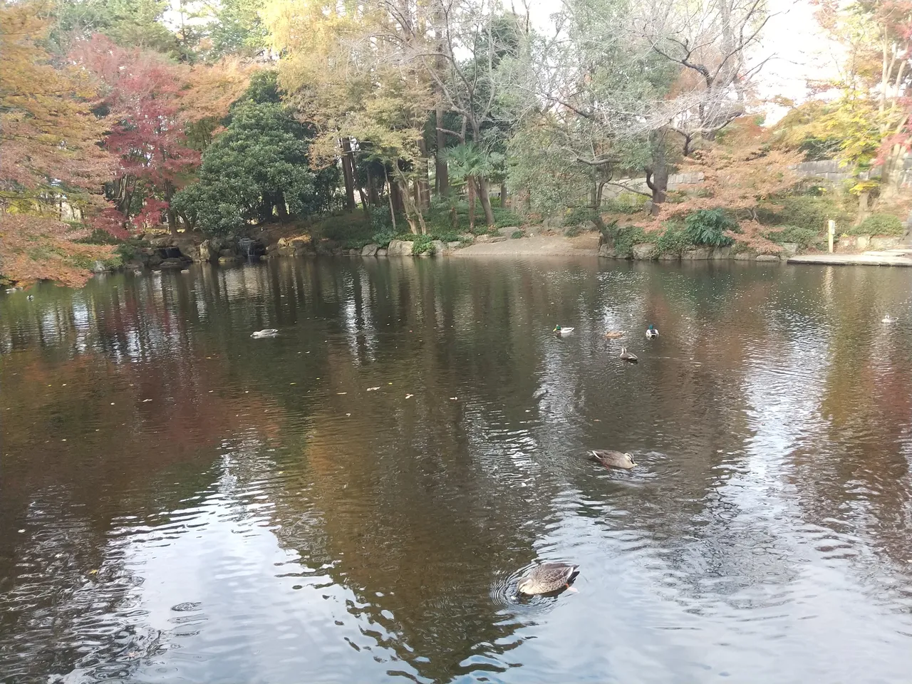 上尾丸山公園