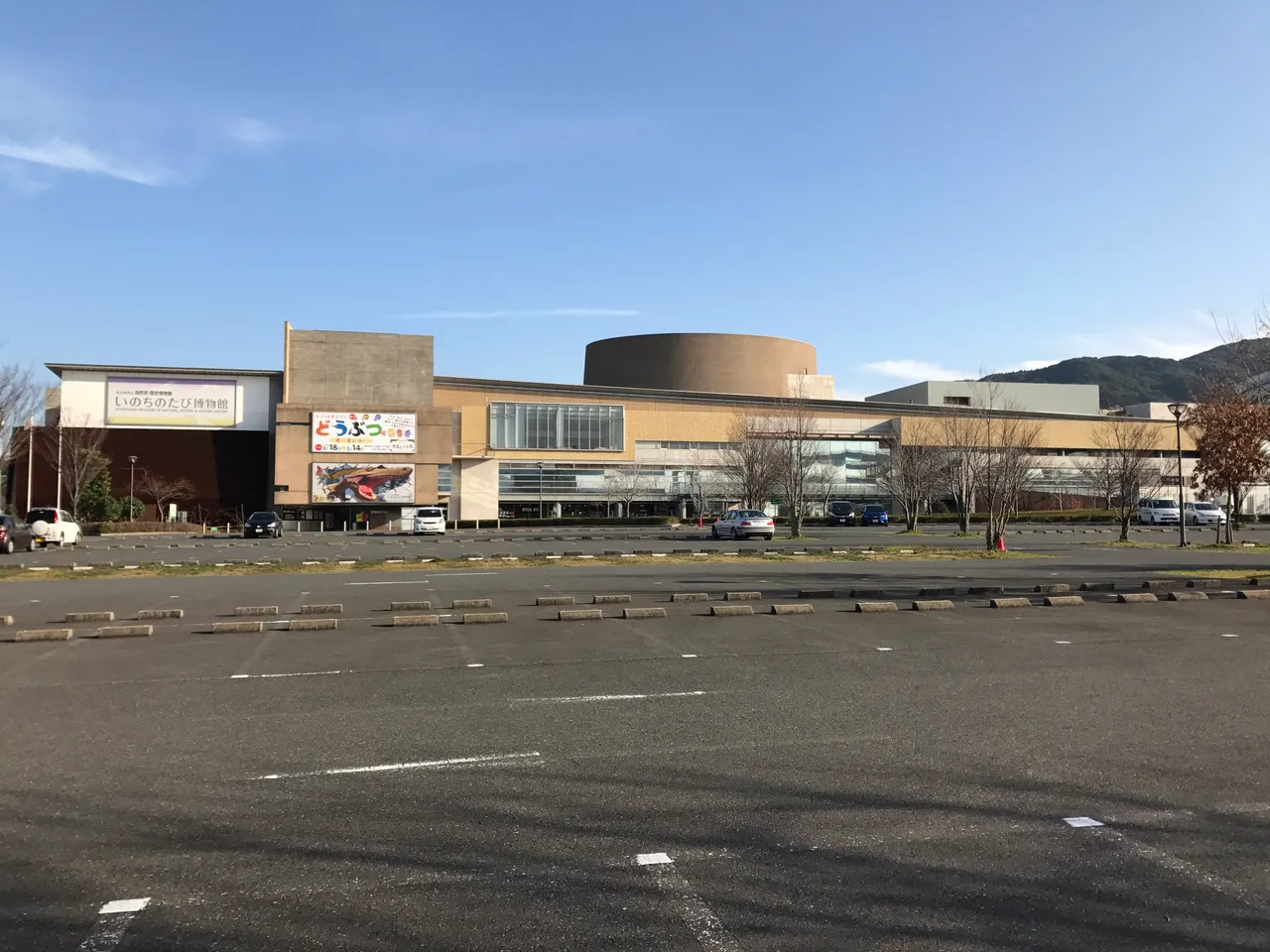 北九州市立いのちのたび博物館