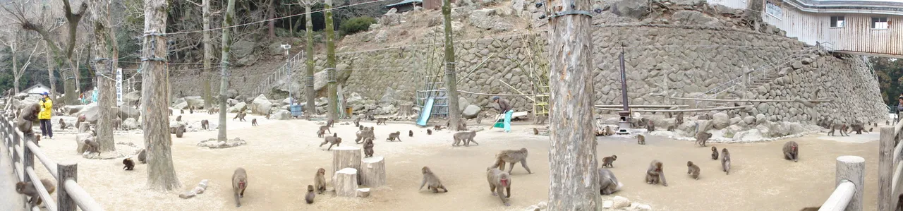 高崎山自然動物園