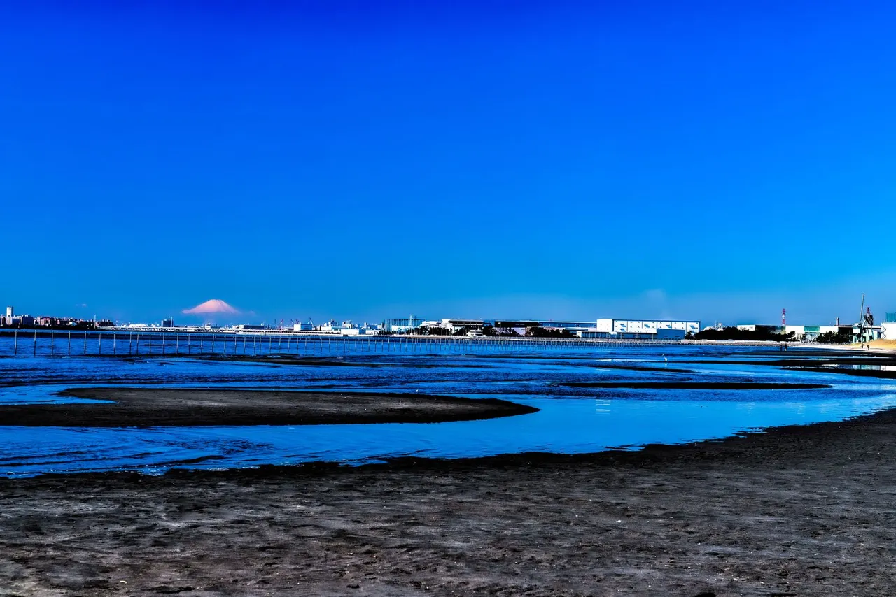 ふなばし三番瀬海浜公園・環境学習館