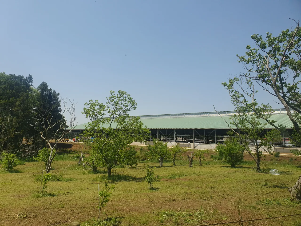 成田ゆめ牧場