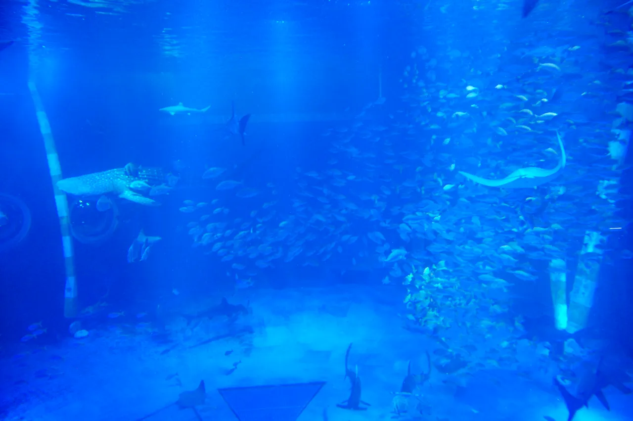のとじま水族館