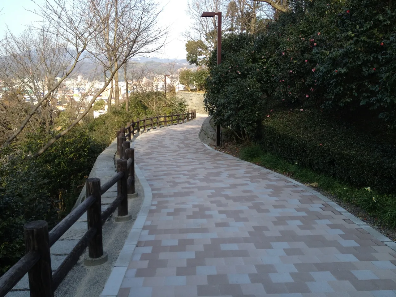 松山総合公園