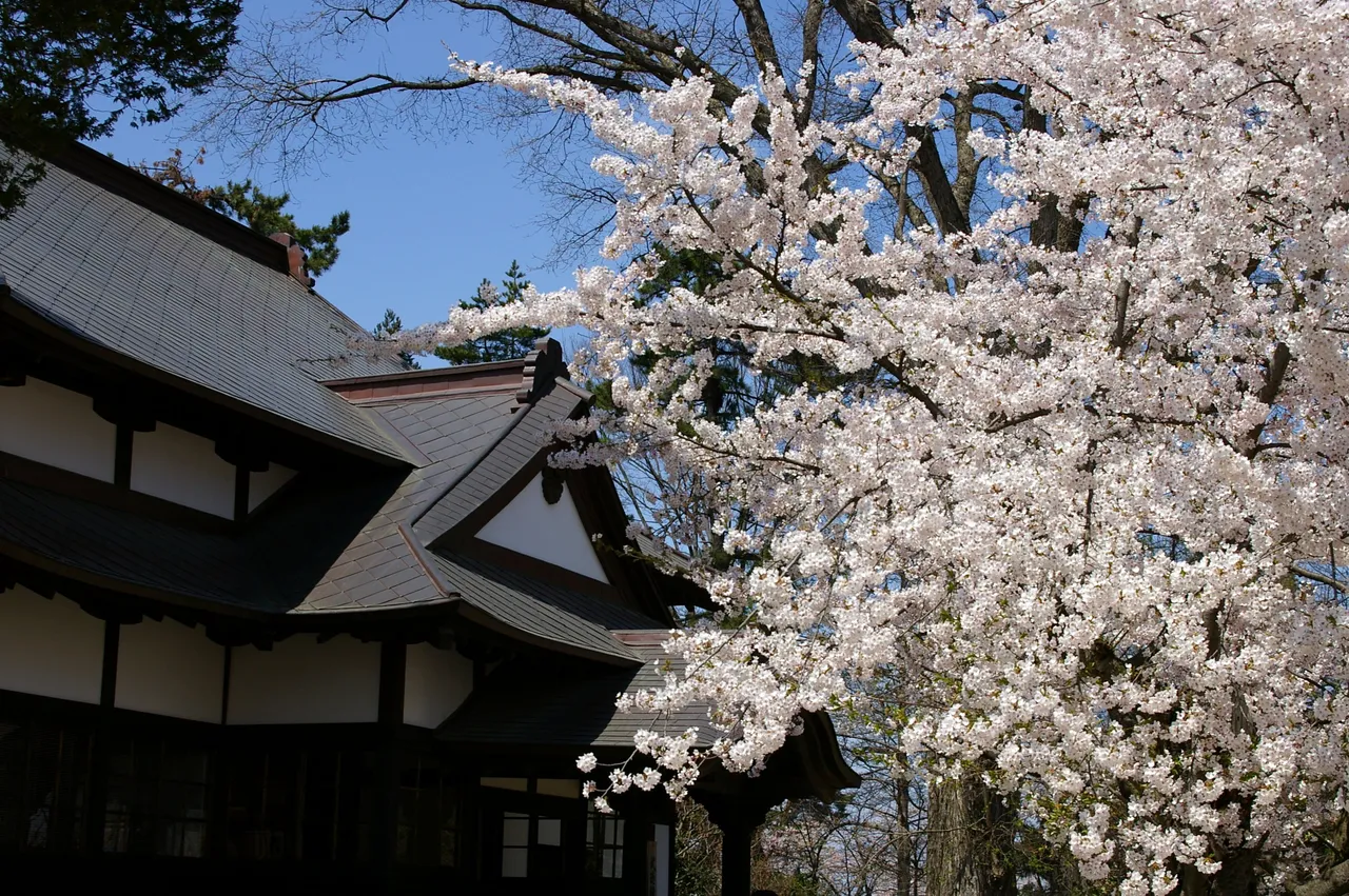 弘前公園(弘前城)