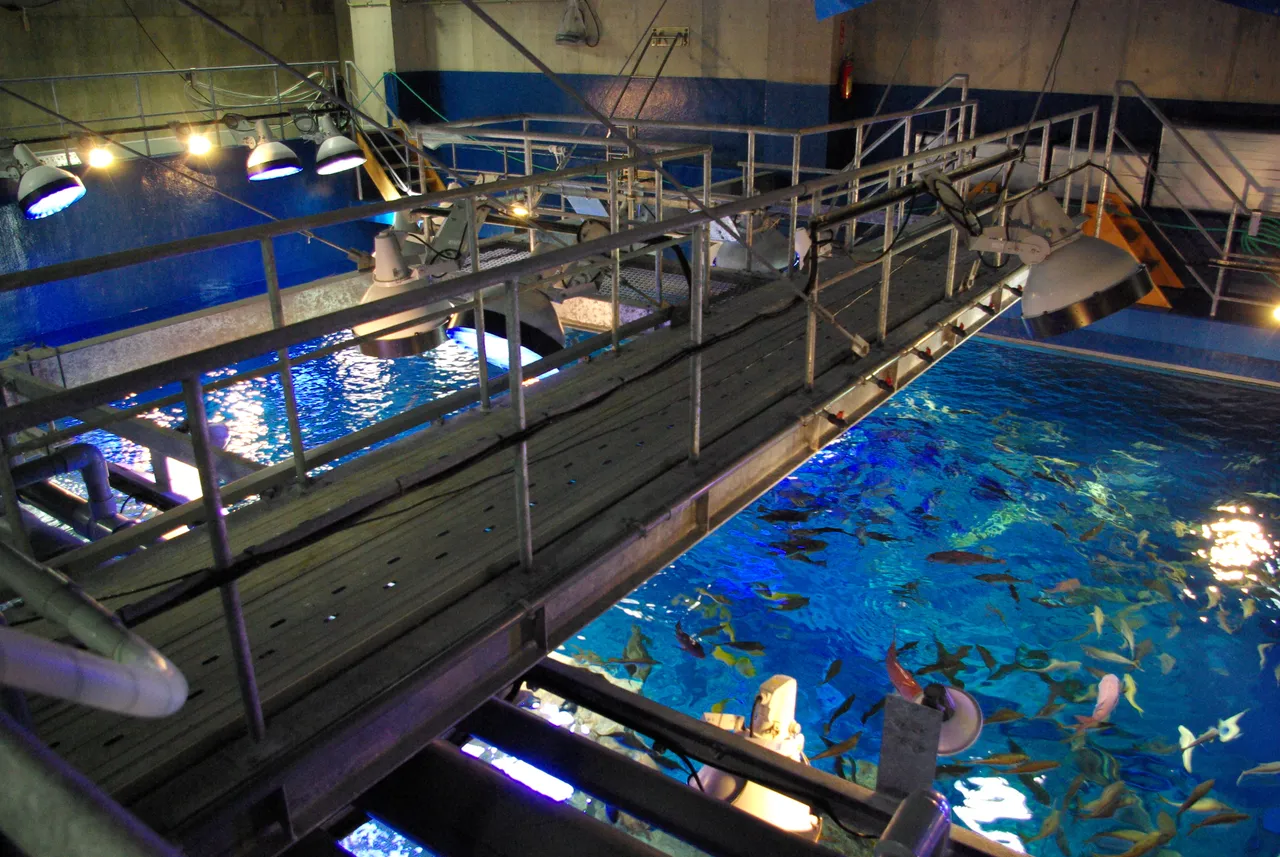 男鹿水族館GAO