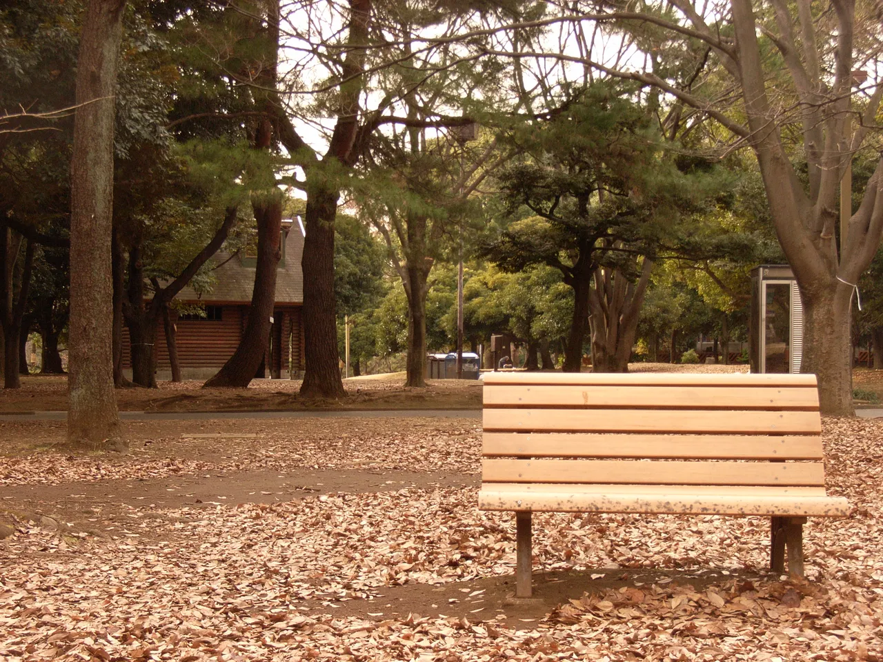 代々木公園