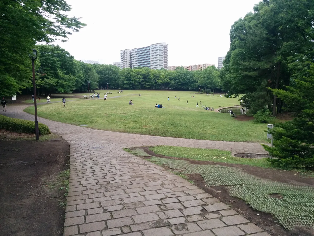 多摩中央公園