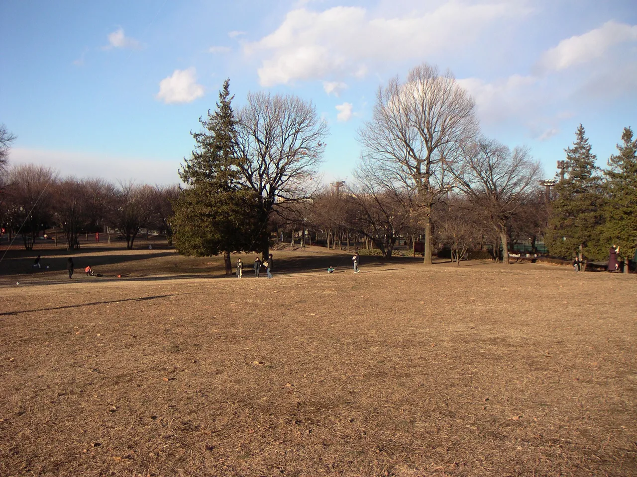 府中の森公園(都立)